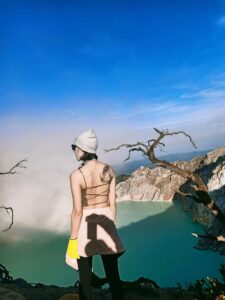 0d34b22f-36e5-41c6-90ce-f3b50905f7db