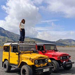 684c4eaf-8a83-4306-a4c4-f4cc1d4d1928