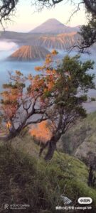 fcec1ee9-f0b0-4fb5-8d3a-f3254c69e323